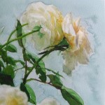 16-01-14 weiße Rosen von Phatcharaphan, Aquarell von Gunter Kaufmann P1040942 150x150