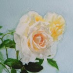 16-01-14 weiße Rosen von Phatcharaphan, Aquarell von Gunter Kaufmann P1040943 150x150