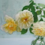 16-01-14 weiße Rosen von Phatcharaphan, Aquarell von Gunter Kaufmann P1040944 150x150